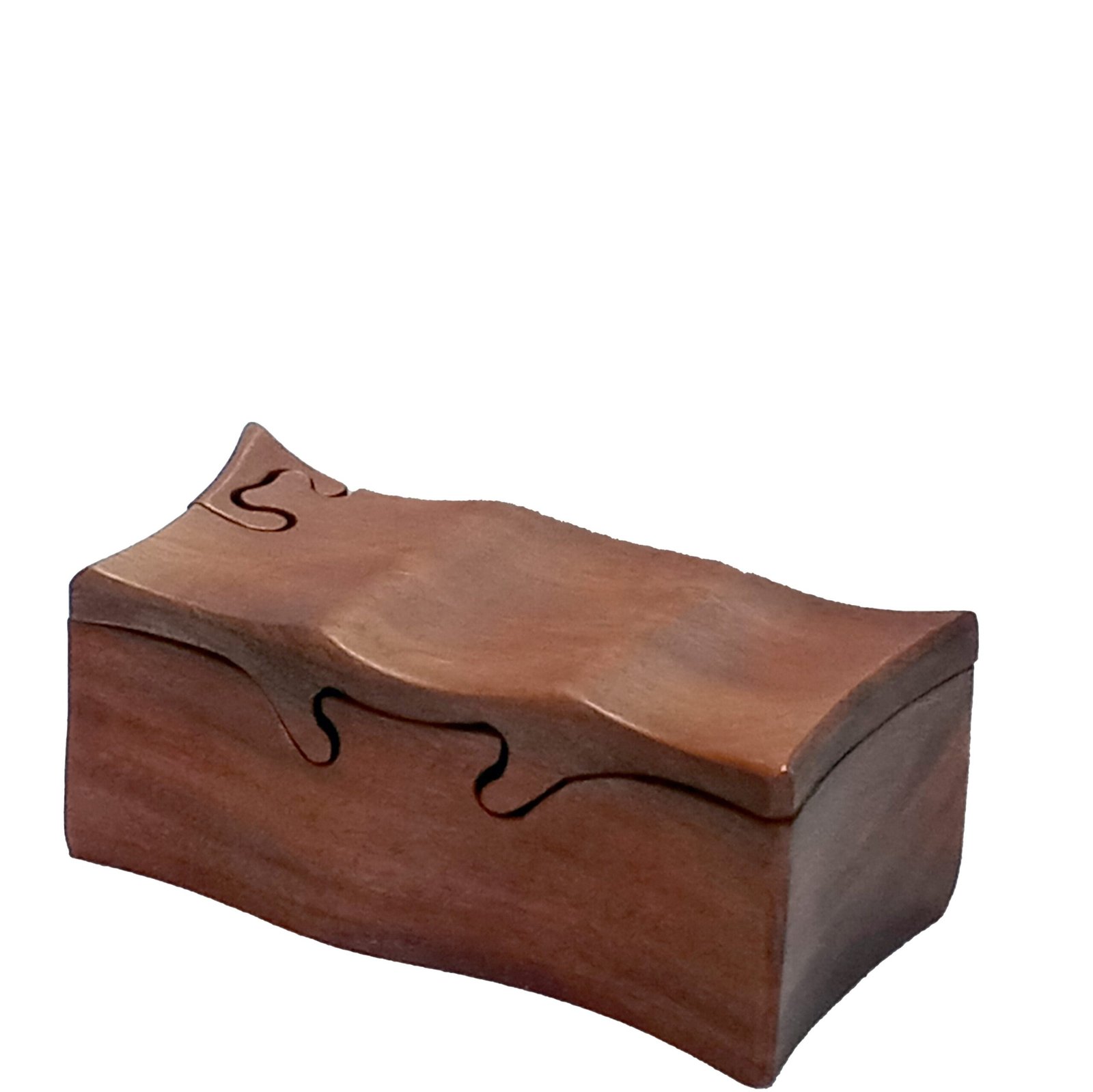 Honduran mahogany bandsawn puzzle box by Designs by Baerreis
